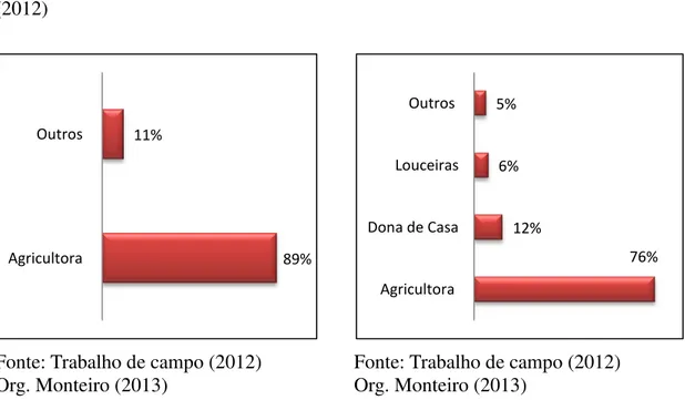 GRÁFICO  09:  Ocupação  das  mulheres  quilombolas  do  Agreste  Paraibano  (2012) 