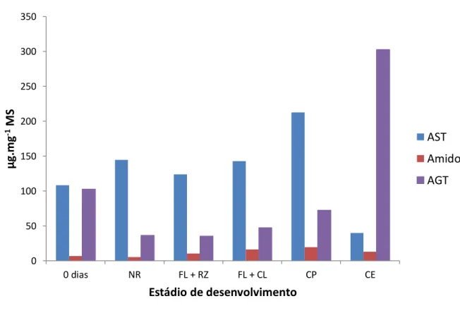 Figura 7. Teores de açúcares solúveis totais (AST), amido e ácidos graxos totais (AGT)  nos estádios de desenvolvimento obtidos durante a indução da embriogênese somática  de  folhas  imaturas  de  plantas  adultas  dendezeiro  (Elaeis  guineensis  Jacq.)