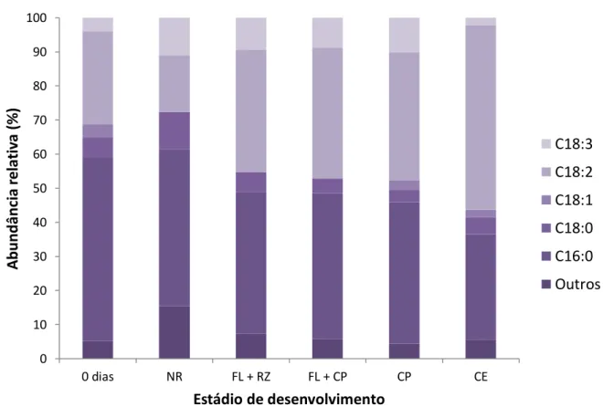 Figura 8. Abundâncias relativas dos ácidos graxos de maior relevância na constituição  dos  lipídios  nos  estádios  de  desenvolvimento  obtidos  durante  a  indução  da  embriogênese  somática  de  folhas  imaturas  de  plantas  adultas  dendezeiro  (Ela