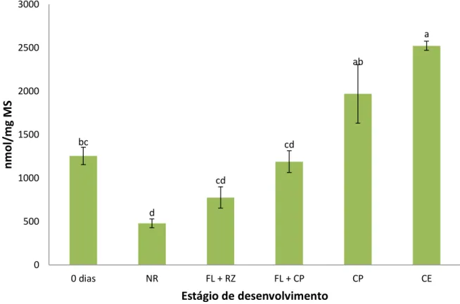 Figura 9. Teores de aminoácidos totais livres nos estádios de desenvolvimento obtidos  durante  a  indução  da  embriogênese  somática  de  folhas  imaturas  de  plantas  adultas  dendezeiro (Elaeis guineensis Jacq.)