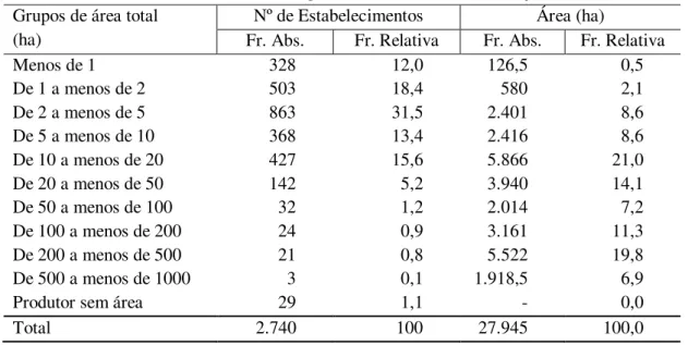 Tabela 6  –  Solânea e Casserengue: Estrutura fundiária conjunta -2006  Grupos de área total  