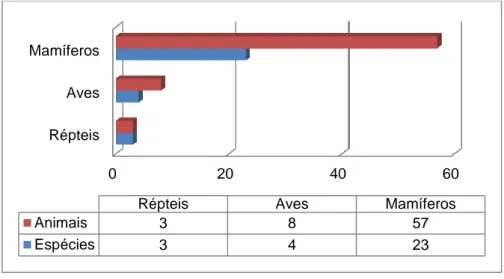 Gráfico 2 – Relação entre o número de animais seguidos durante o estágio e as suas espécies