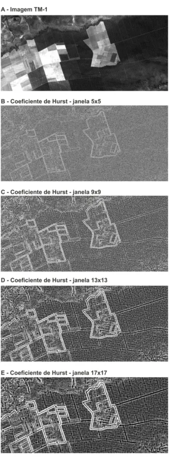Figura 10 – Imagens do coeficiente de Hurst considerando diferentes dimensões de janela, sendo: