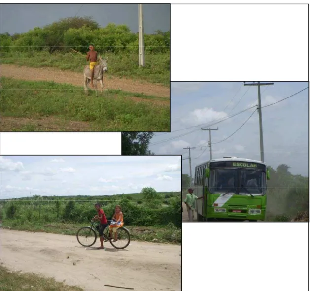 Figura 02: Tipos de transportes utilizados por alunos/as para chegarem às suas escolas, nas áreas de assentamentos rurais na Paraíba