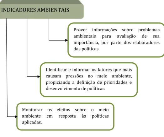 Figura 11: Principais funções dos indicadores nas políticas públicas. 