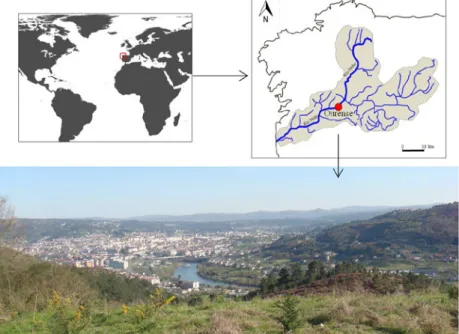 Figura 3 – Contexto territorial. Panorámica del tramo fluvial desde el Oeste