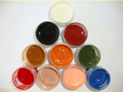 Figura 6. Tintas obtidas a partir da mistura de diversos pigmentos com o veículo sintetizado a  partir de óleo residual de fritura