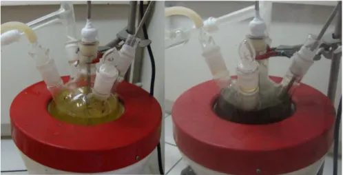 Figura 4. Óleo de fritura residual antes da reação (esq.) e a 315 ºC (dir.). Foto: Guilherme B