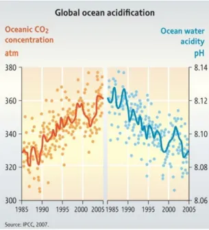 Figura 1.1 - Concentração oceânica de dióxido de carbono VS pH da água oceânica (IPCC
