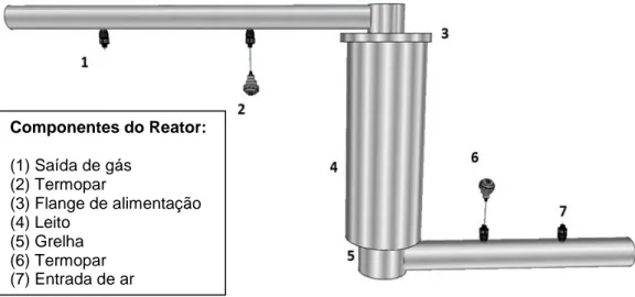 Figura 13: Modelo do gaseificador utilizado no desenvolvimento do estudo de gaseificação de  biomassa florestal