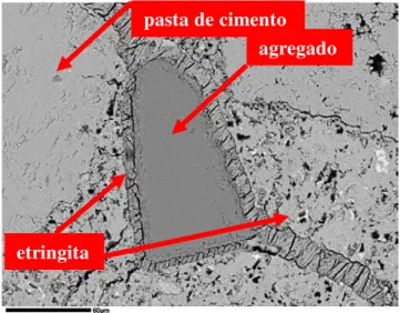 Figura 2.7  –  Imagem de uma amostra de concreto polida, obtida por microscopia eletrônica de varredura,  mostrando  a  etringita  preenchendo  a  fissura  em  volta  do  grão  de  agregado
