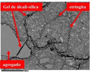 Figura 2.8 – Imagem de uma amostra de concreto polida, obtida por microscopia eletrônica de varredura,  mostrando fissuras em torno e através da partícula de agregado preenchidas parcialmente pelo gel  álcali-sílica  e  outras  preenchidas  por  etringita