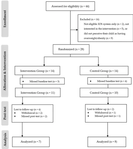 Figure 2. Flowchart of the pilot study.