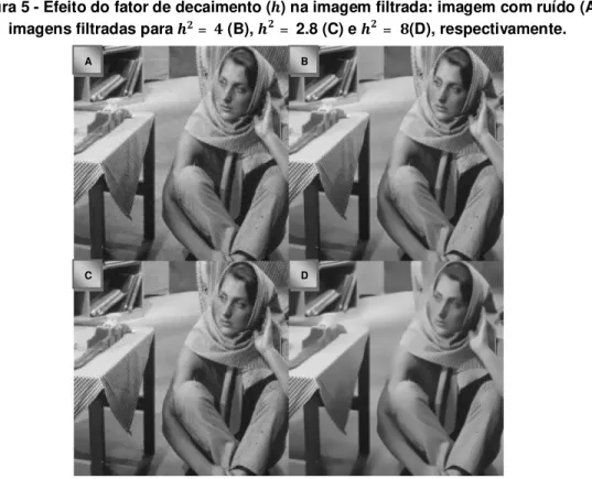 Figura 5 - Efeito do fator de decaimento ( ) na imagem filtrada: imagem com ruído (A),  imagens filtradas para =  (B),  =  2.8 (C) e  = (D), respectivamente