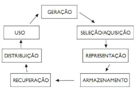 Figura 10: Ciclo Informacional 