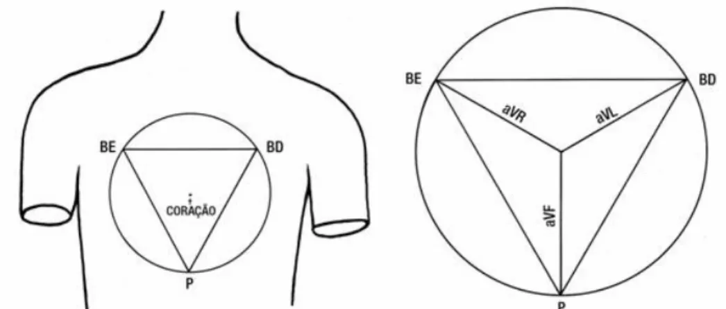 Figura 3.2. O Triângulo de Einthoven, os pontos BE (braço esquerdo), BD (braço  direito), P (perna esquerda) e os pontos aVL, aVF e aVR 