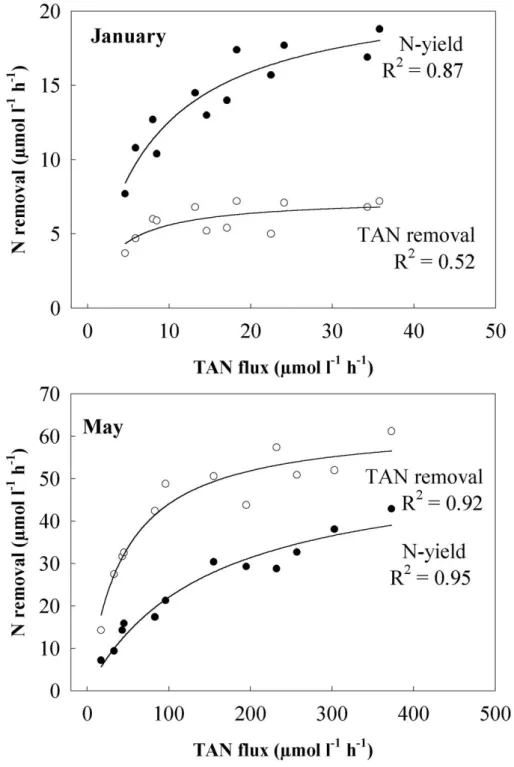 Fig. 6. Relationship between Asparagopsis armata N-yield of produced biomass (●) and 24  h TAN-removal (○) plotted against TAN fluxes