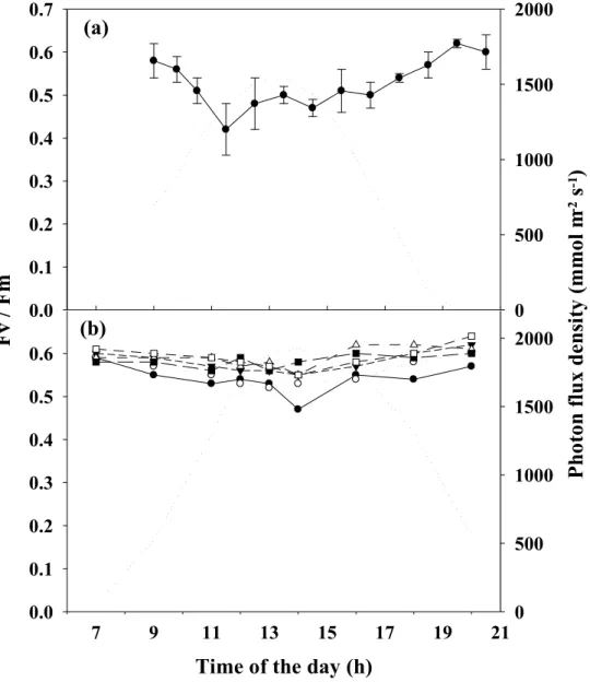 Fig. 2. Daily variation of Asparagopsis armata potential quantum yield (F v /F m ) at different  cultivation densities (a) Biomass density of 1.5 g FW L -1 , data collected in March; (b)  Biomass densities of 4 ( ), 5 ( ), 6 ( ), 7 ( ), 8 ( ) and 9 g FW L 