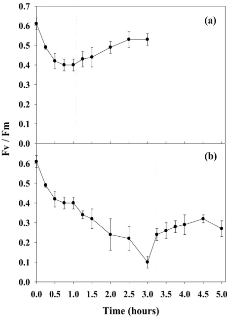 Fig. 4. Potential quantum yield (F v /F m ) of Asparagopsis armata after exposure for 1 hour (a)  and 3 hours (b) to direct sunlight (over 1600 µmol m -2  s -1 )
