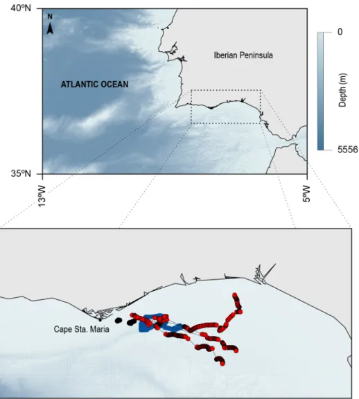 Fig 2. Map defining the study region, SW Iberian, including the northern margin of the Gulf of Cadiz and the Strait of Gibraltar