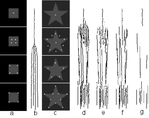 Figure 3.4: Keypoint scale space, with ﬁnest scale at the bottom: (a) square, (b) projected 3D keypoint trajectories of square, (c) and (d) star and projected trajectories, (e) micro-scale stability, (f) and (g) stability over at least 10 and 40 scales, re