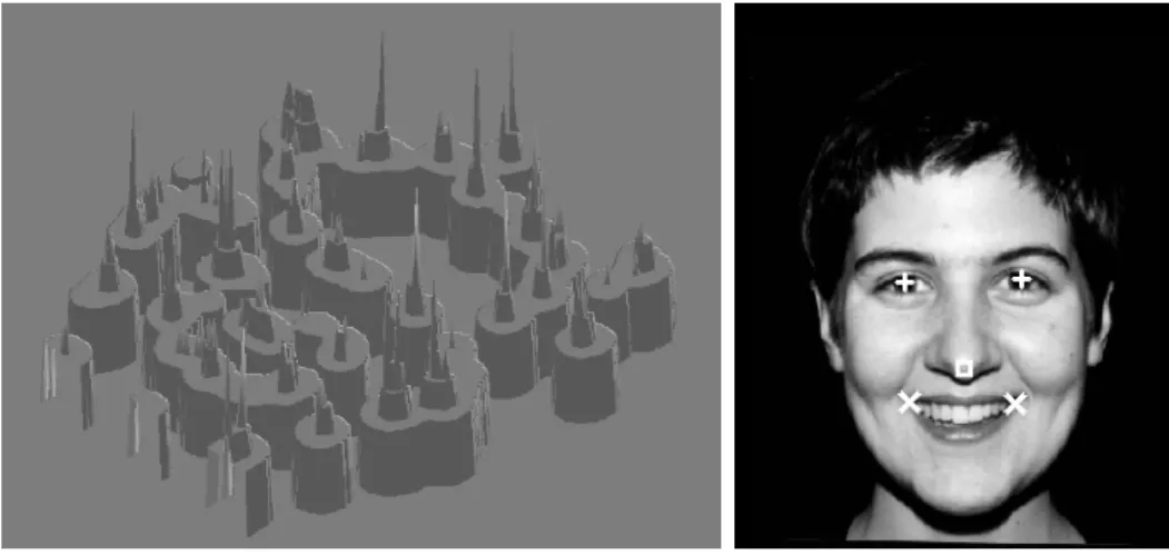 Figure 3.11: Left: partial saliency map of face196 (λ ∈ [13, 18]). Right: keypoints used by eye, nose and mouth detection cells.