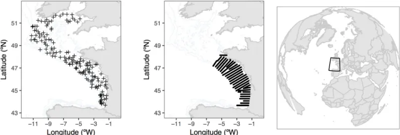 Fig 2. Location of the sampling stations. Location and sampling design of the empirical data sets used in the current work, bottom trawl survey (EVHOE 2015, left panel), small pelagic surveys using acoustic techniques (PELGAS 2015; middle panel) and worldw