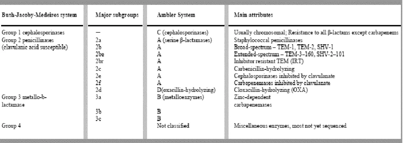 Table  1  –  β-lactamases  classification  according  to  Bush-Jacoby-Medeiros  and  Ambler  scheme