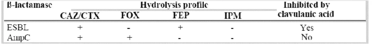 Table  2  -  Hydrolysis  profile  of  ESBLs  and  AmpCs,  adapted  from  “Scientific  Opinion  on  the  public  health  risks  of  bacterial  strains  producing  extended-spectrum  lactamases  and/or  AmpC   β-lactamases in food and food-producing animals”