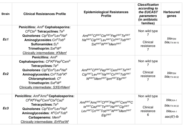 Table 3 – Antimicrobial resistance results of the Escherichia coli isolates. 
