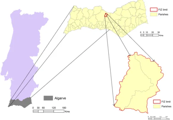 Figure 1. The location of the selected FIZ. 