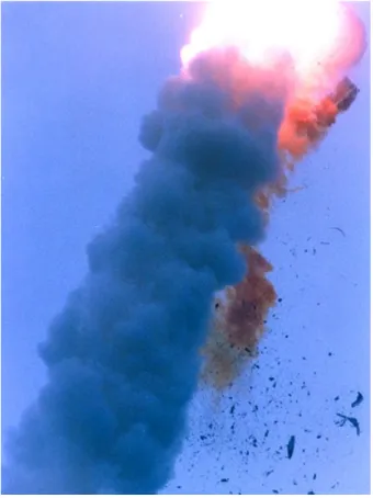 Figure 1.1: Ariane 5 disaster