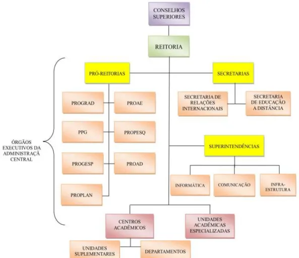 Figura 2  –  Organograma  