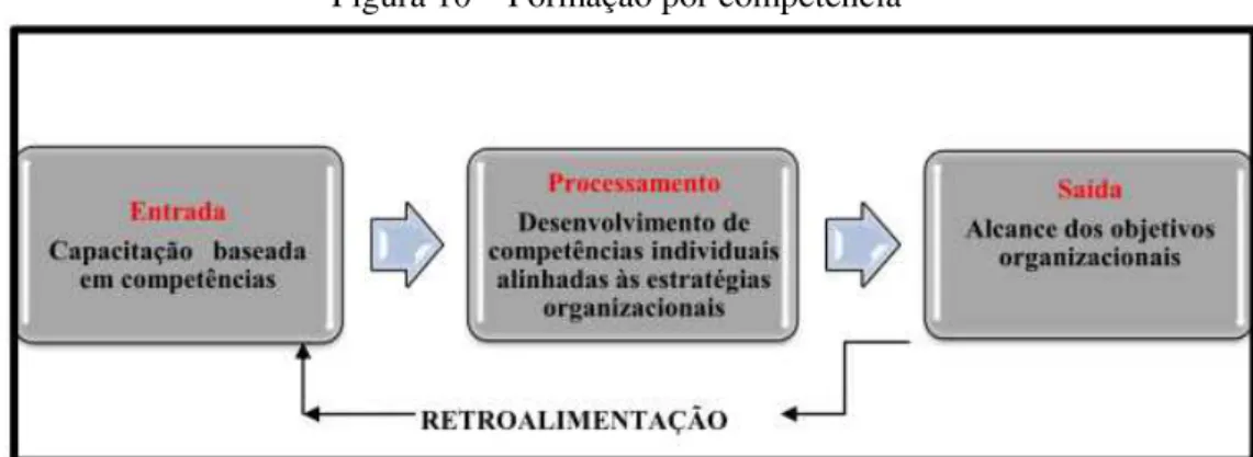 Figura 10  –  Formação por competência 