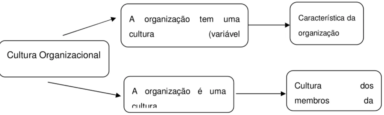 Figura 1: Cultura organizacional: duas visões 