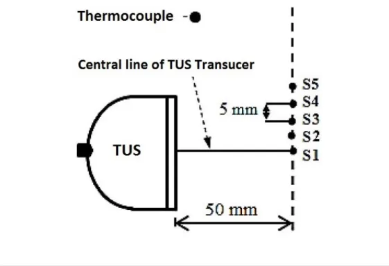 Figure 3.4: Thermocouple positioning in relation to the TUS device. Figure adapted [7].