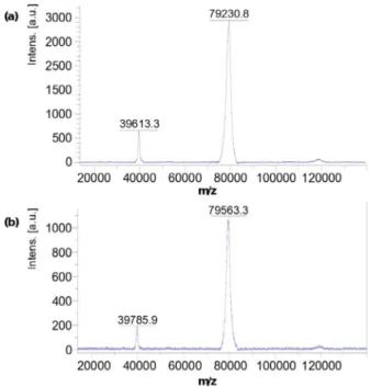 Figure 6. Superposition of pair distance distribution function for both ana- ana-lyzed samples—native apoHTF (black) and apoHTF-[V IV O(acac) 2 ] (reddish)—