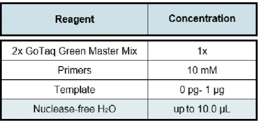 Table 1. Reaction mixture used for PCR. 