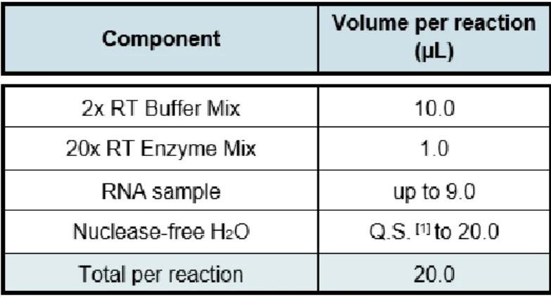 Table 3. Reaction mixture used for RNA retro-transcription. RT – Reverse  Transcriptase