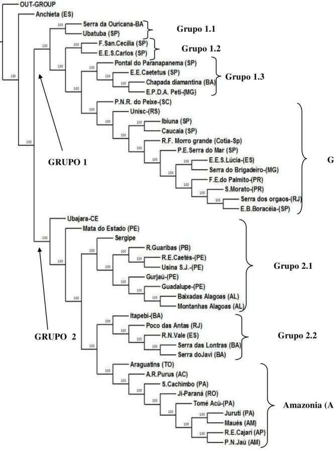 Figura  1:  Dendograma  mais  parcimonioso  encontrado  a  partir  da  análise  da  distribuição de 331 gêneros e 823 espécies de aves dependentes de floresta em 45  localidades  na  Mata  Atlântica  e  Floresta  Amazônica