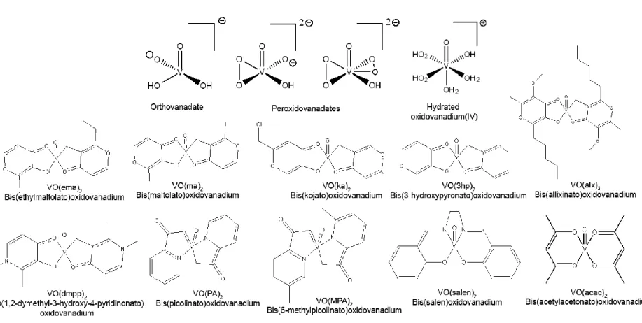 Figure  I.3.  Examples  of  potential  anti-diabetic  complexes.  VO(ema) 2 ,  VO(ma) 2 ,  VO(ka) 2 ,  VO(3hp) 2   and  VO(alx) 2   are  BEOV  derivatives