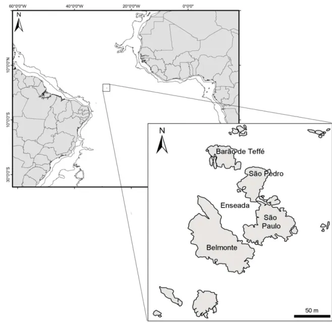 Figura 4. Mapa com a localização do Arquipélago de São Pedro e São Paulo. O estudo foi realizado  nas piscinas de maré da Ilha Belmonte e na enseada