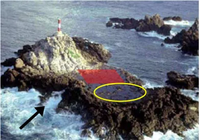 Figura 6. Vista aérea da ilha Belmonte.  A área vermelha  indica o local onde hoje está construída a estação científica  e  círculo  amarelo  indica  o  local  das  piscinas  de  maré