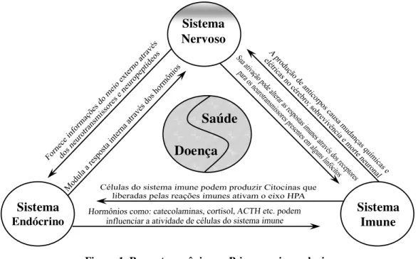 Figura 1. Resposta orgânica na Psiconeuroimunologia  (Adaptado de Alves e Palermo-Neto, 2010, p