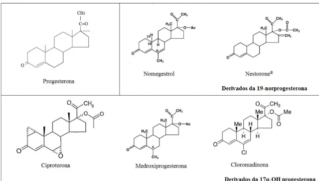 Figura 4.7 – Progestagénios derivados da 17-OH progesterona e 19-norprogesterona. 