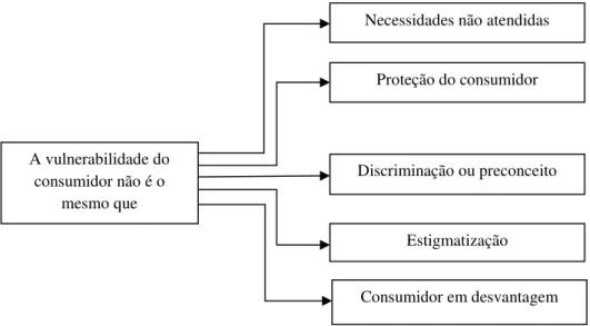 Figura 2 – O que não constitui a vulnerabilidade do consumidor   