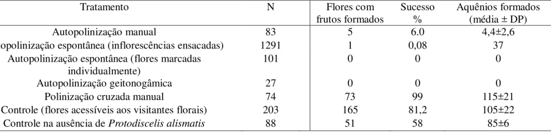 Tabela 1: Sistema reprodutivo e sucesso reprodutivo de Echinodorus palaefolius após diferentes tratamentos de polinização controlada 