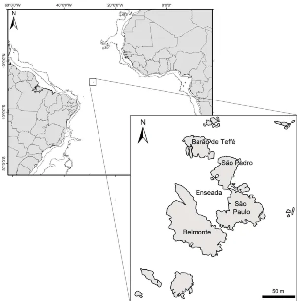 Figura 1. Área de estudo, Arquipélago de São Pedro São Paulo.  