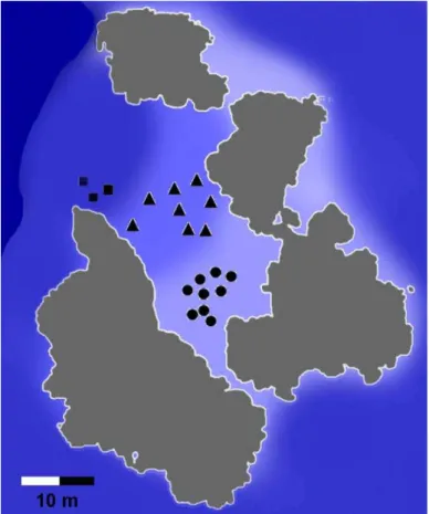 Figura 5.Representaçãodos 20 ninhos monitorados. Os círculos  correspondem aos ninhos  amostrados  no estrato de 0-10 m;  os triângulos  indicam ninhos do estrato de 10-20 m;  eos  quadrados indicam ninhos que foram amostrados no estrato de 20-30 m