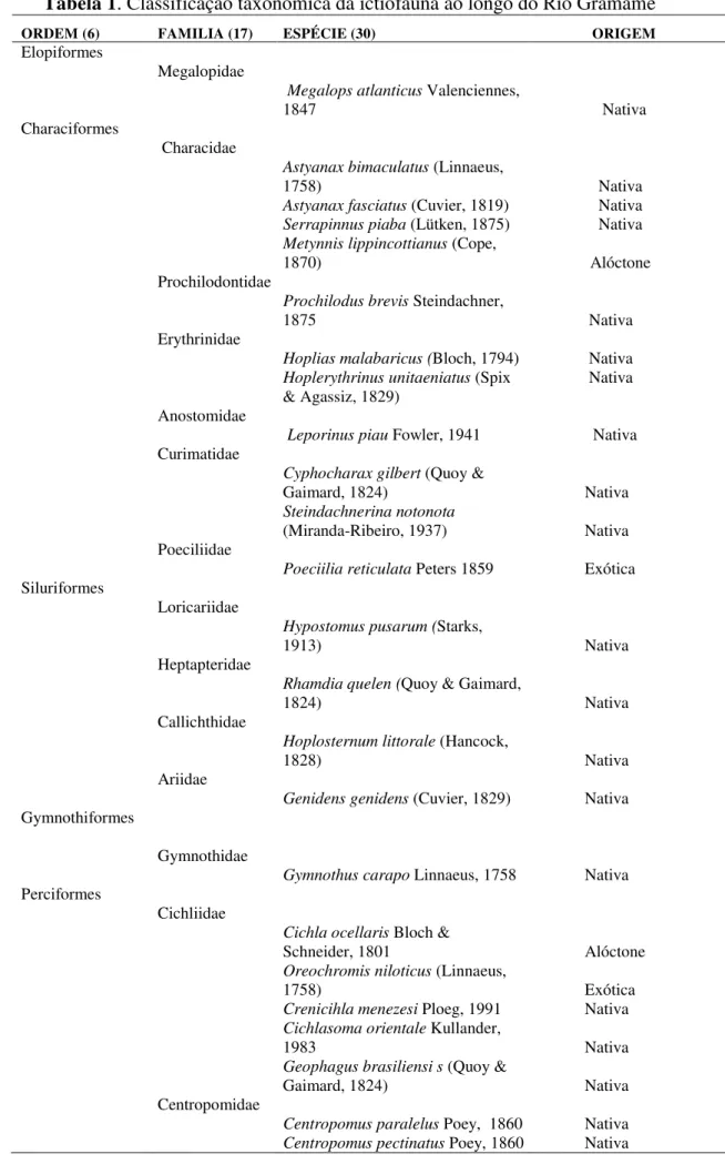 Tabela 1. Classificação taxonômica da ictiofauna ao longo do Rio Gramame 